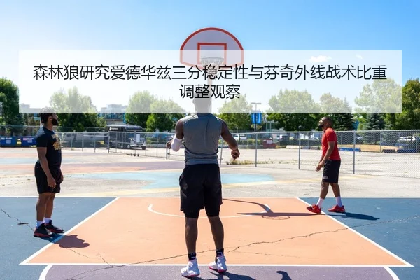 森林狼研究爱德华兹三分稳定性与芬奇外线战术比重调整观察